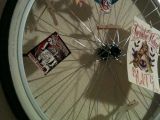 Bicycle Wheel Decor